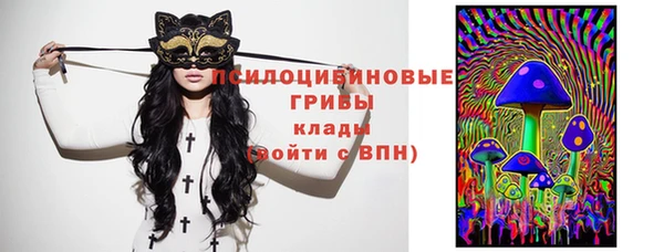 индика Вязники