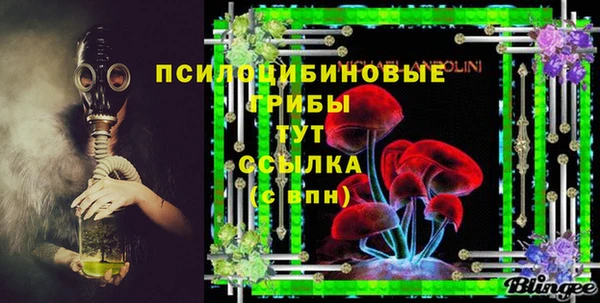 индика Вязники