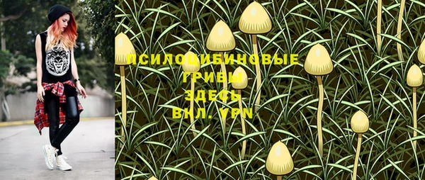ALPHA-PVP Вяземский