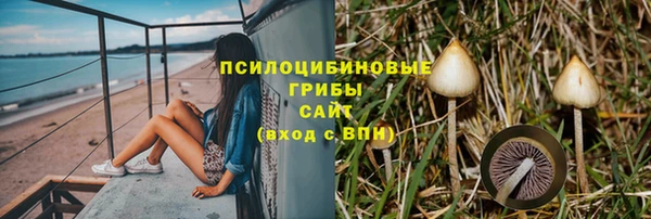 ALPHA-PVP Вяземский