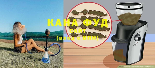 индика Вязники