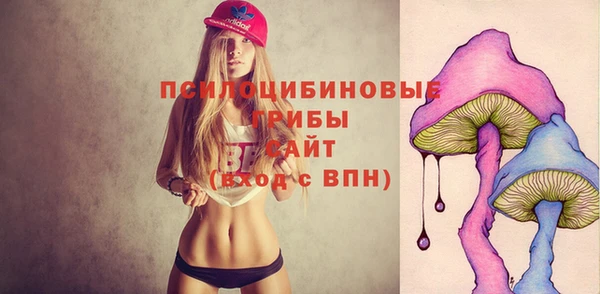ALPHA-PVP Вяземский