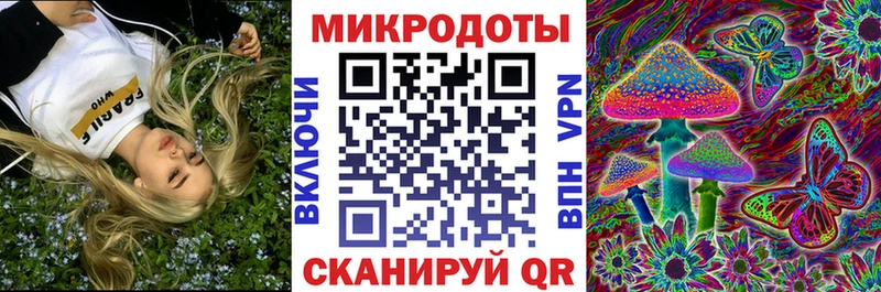 купить наркотики цена  blacksprut ссылки  Галлюциногенные грибы Psilocybine cubensis  Чишмы 