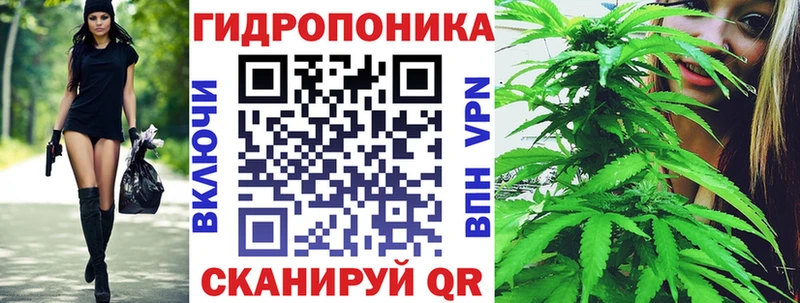где можно купить   KRAKEN как зайти  Каннабис SATIVA & INDICA  Чишмы 